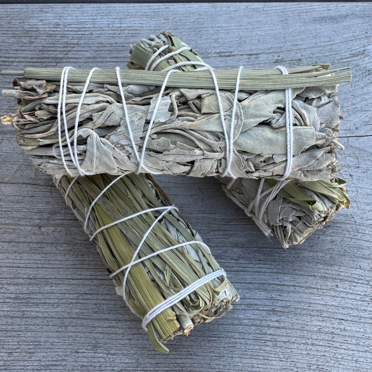 Vit Salvia & Lemongrass bunt