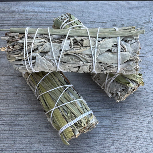 Vit Salvia & Lemongrass bunt